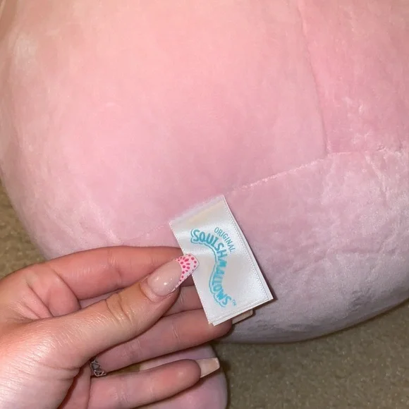 Brina the bigfoot squishmallow - Picture 3 of 3